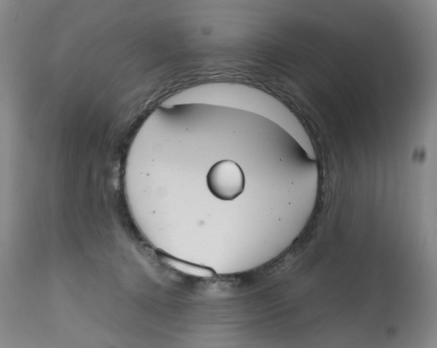 X0000112530368200909141253