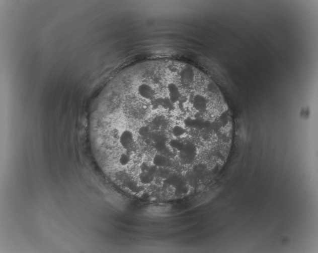 X0000112530369200909141253