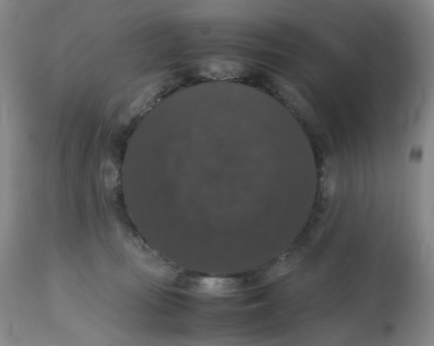 X0000112530371200909141253