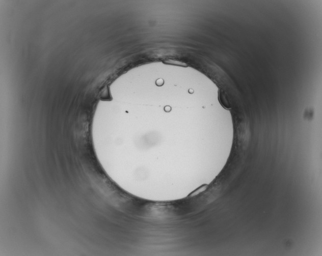 X0000112530372200909141253