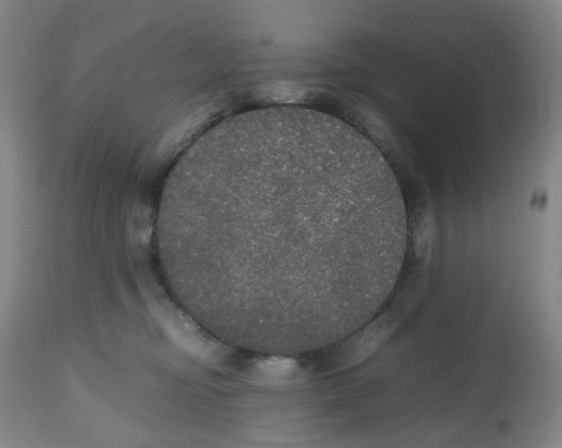 X0000112530374200909141253