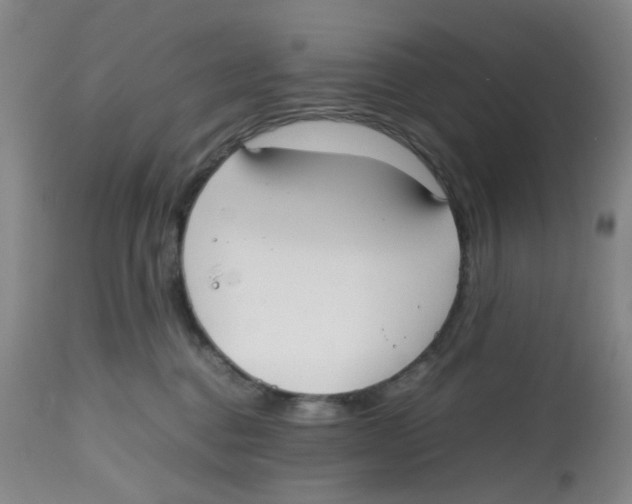 X0000112530376200909141253