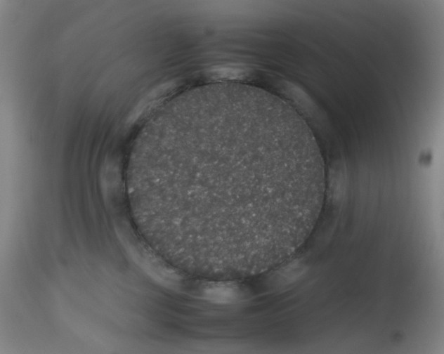 X0000112530377200909141253