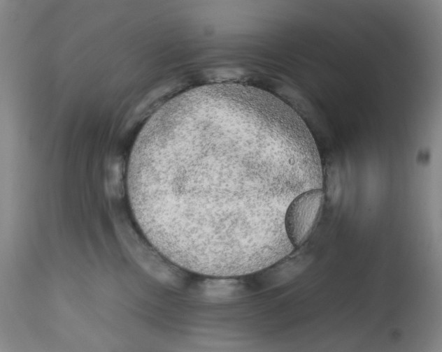 X0000112530378200909141253