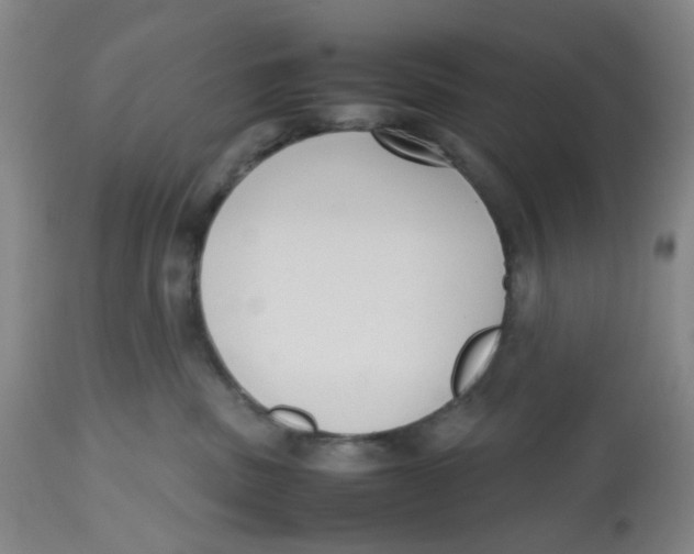 X0000112530379200909141253