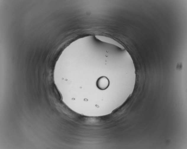 X0000112530380200909141253