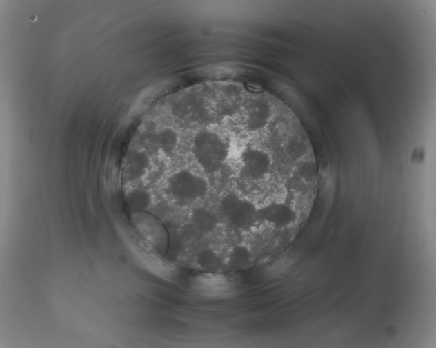 X0000112530381200909141253