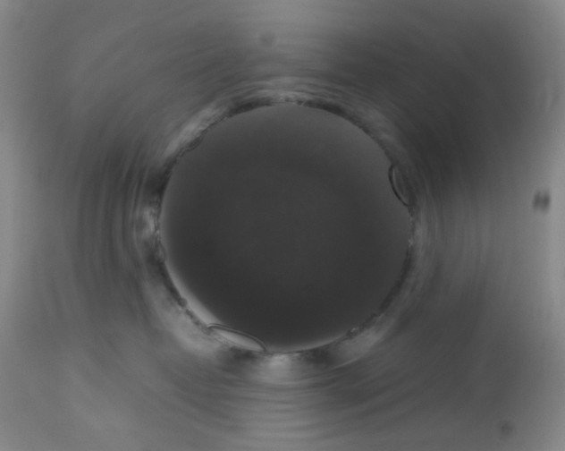 X0000112530382200909141253