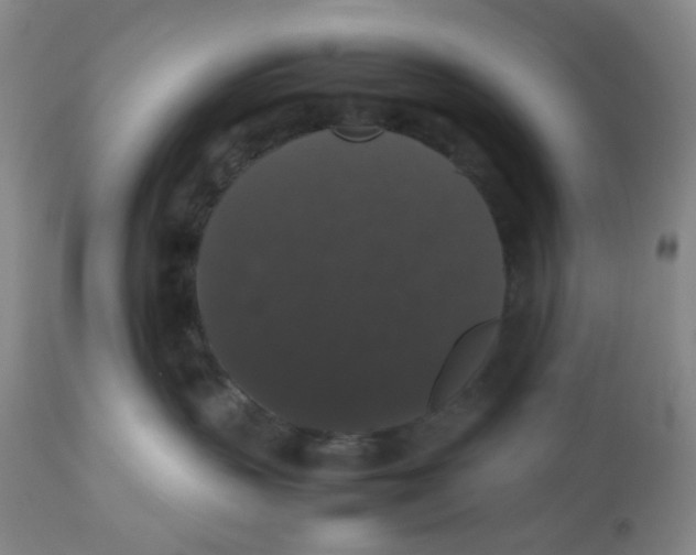 X0000112530383200909141253