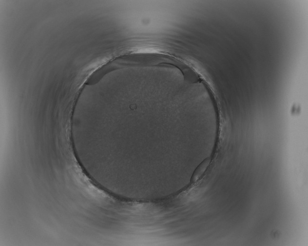 X0000112530385200909141252