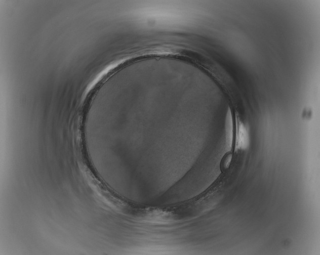 X0000112530387200909141252