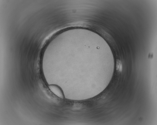 X0000112530388200909141252