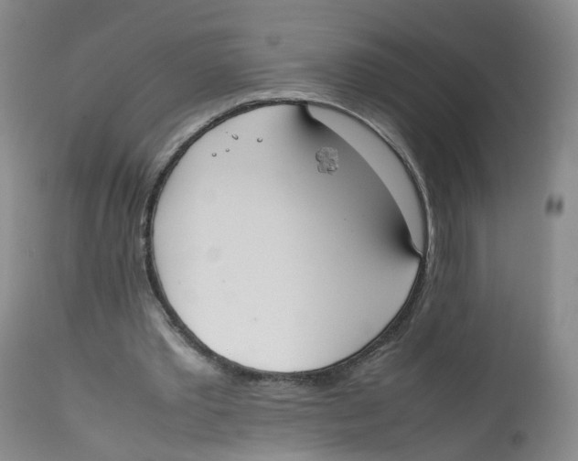 X0000112530389200909141252