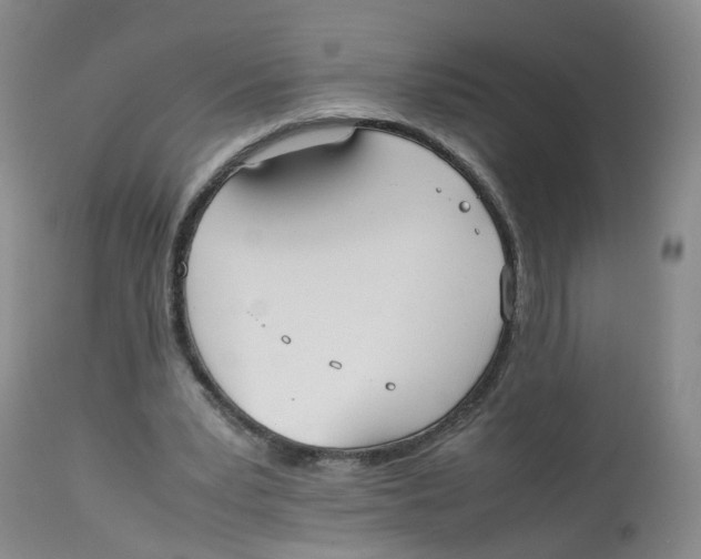 X0000112530391200909141252