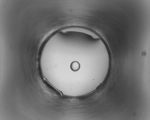 X0000112530395200909141252