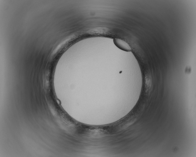 X0000112530396200909141252