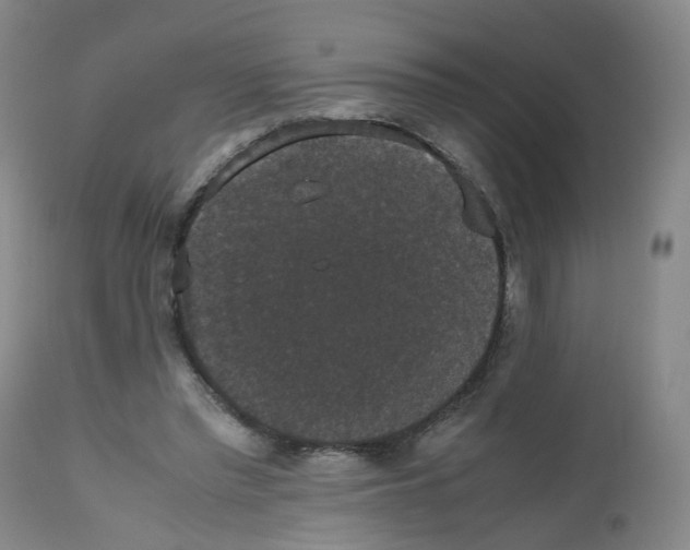 X0000112530397200909141252