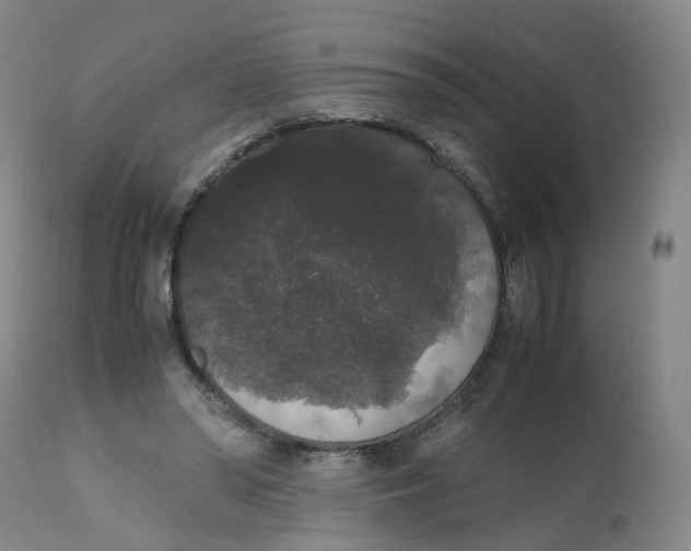 X0000112530398200909141252