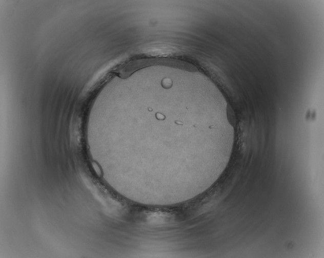 X0000112530400200909141252