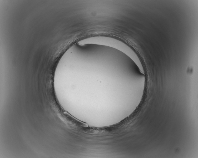 X0000112530401200909141252