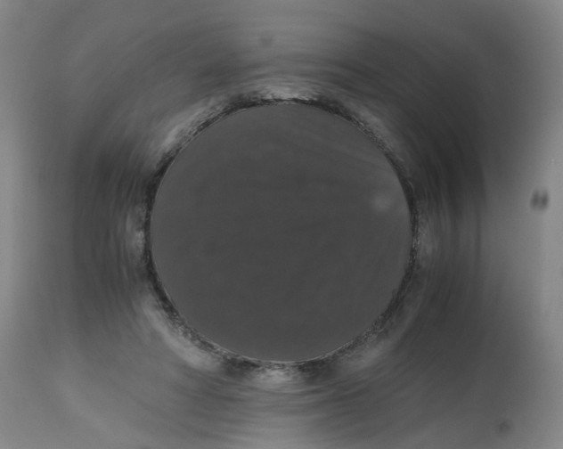 X0000112530402200909141252