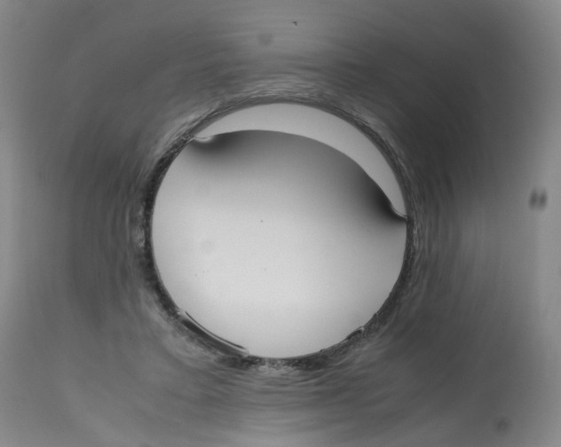 X0000112530403200909141252