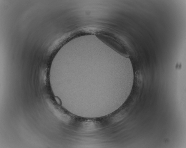 X0000112530404200909141252