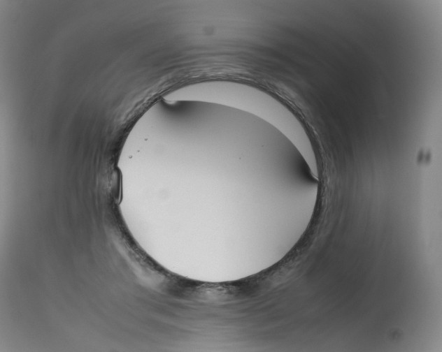 X0000112530405200909141252