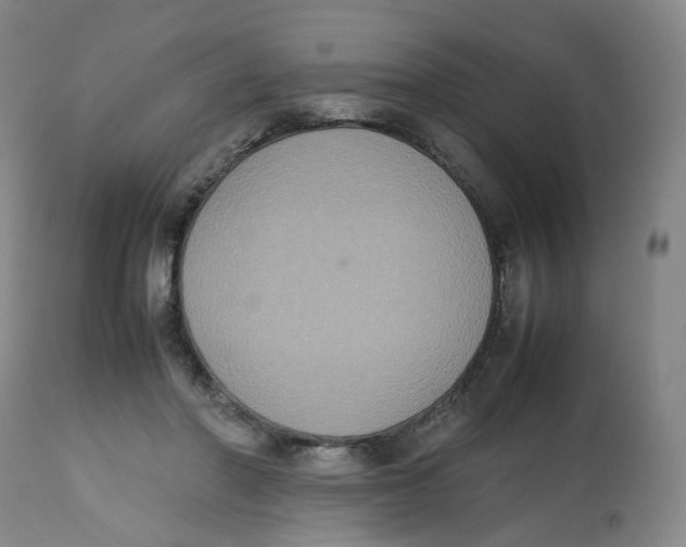 X0000112530406200909141252