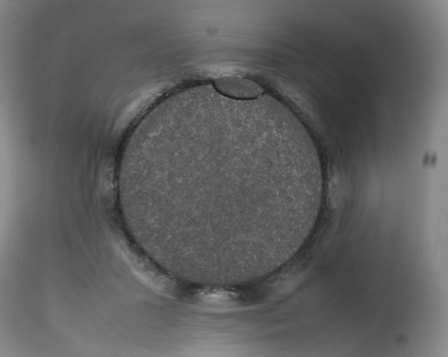 X0000112530407200909141252