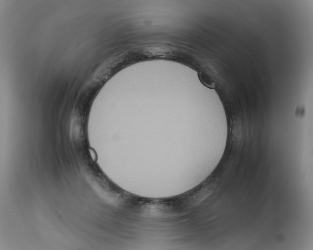 X0000112530408200909141252