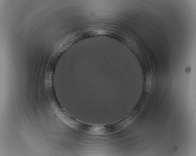 X0000112530410200909141252