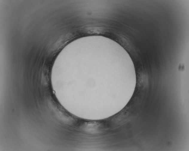 X0000112530414200909141252