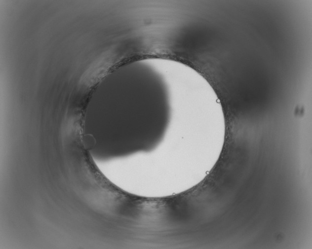 X0000112530415200909141252