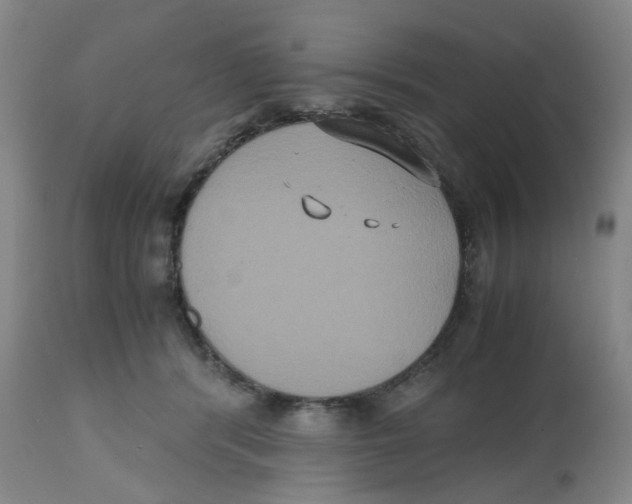 X0000112530416200909141252