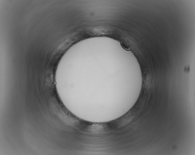 X0000112530418200909141252