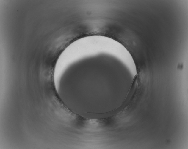 X0000112530423200909141252