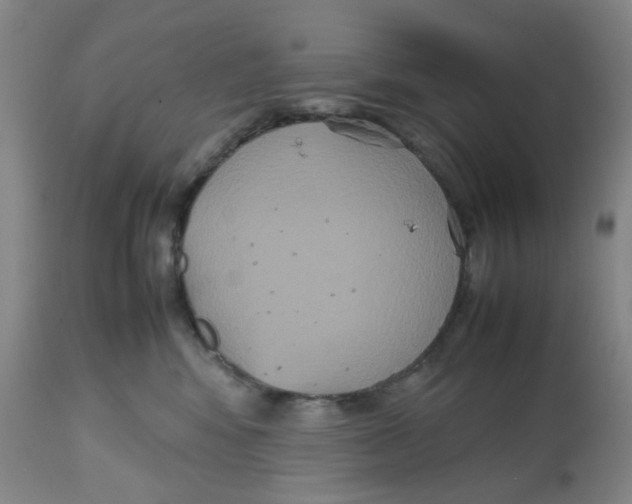 X0000112530424200909141252