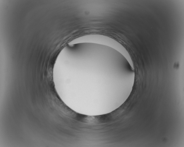 X0000112530425200909141252