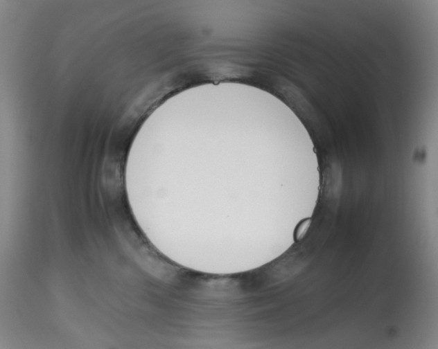 X0000112530426200909141251