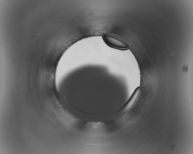 X0000112530427200909141251