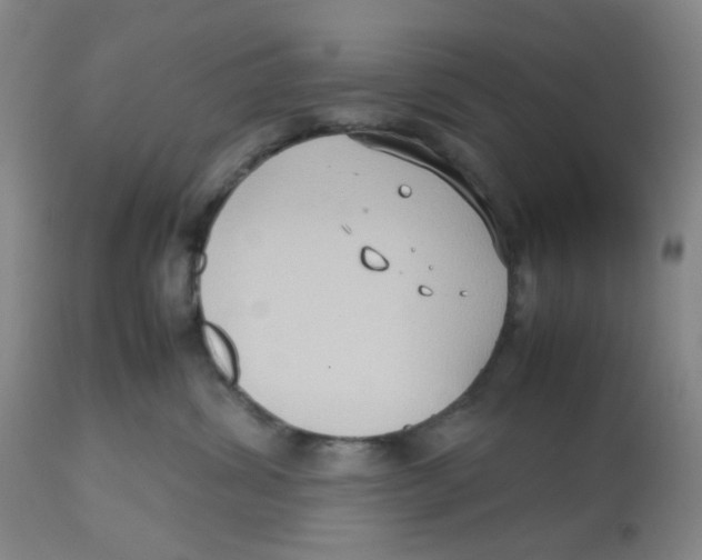 X0000112530428200909141251