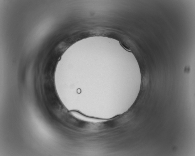 X0000112530429200909141251