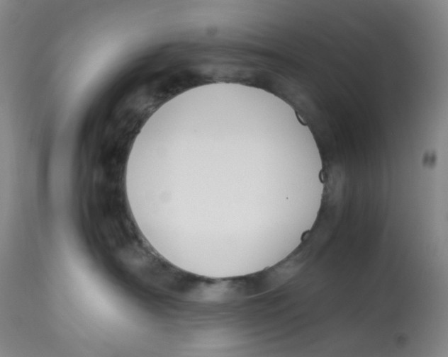 X0000112530430200909141251