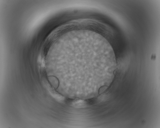 X0000112530431200909141251