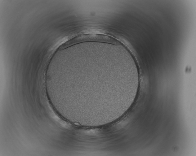 X0000112530433200909141251