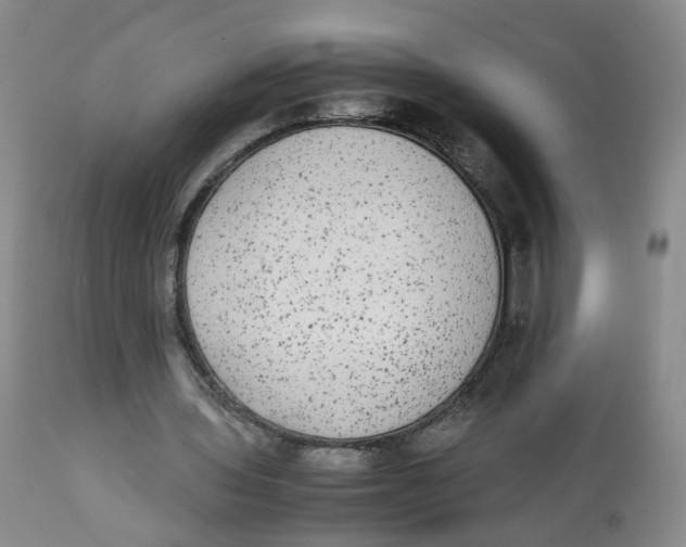 X0000112530435200909141251