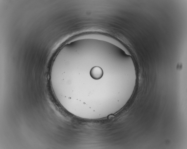 X0000112530436200909141251