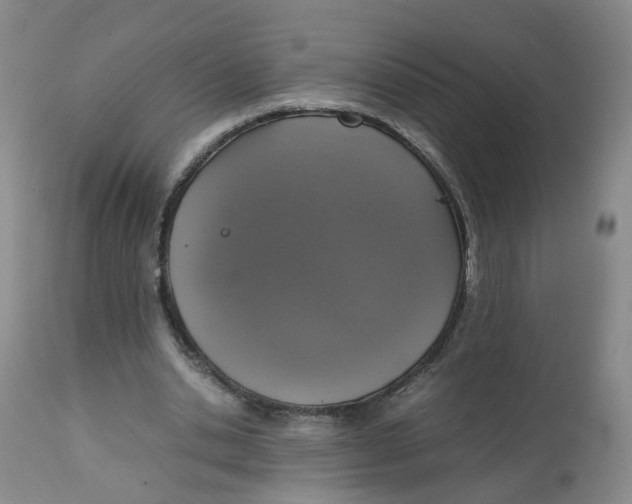 X0000112530438200909141251