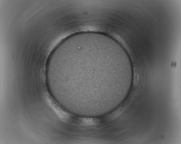 X0000112530439200909141251